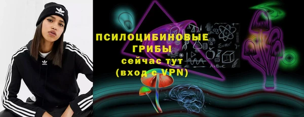 амф Балахна
