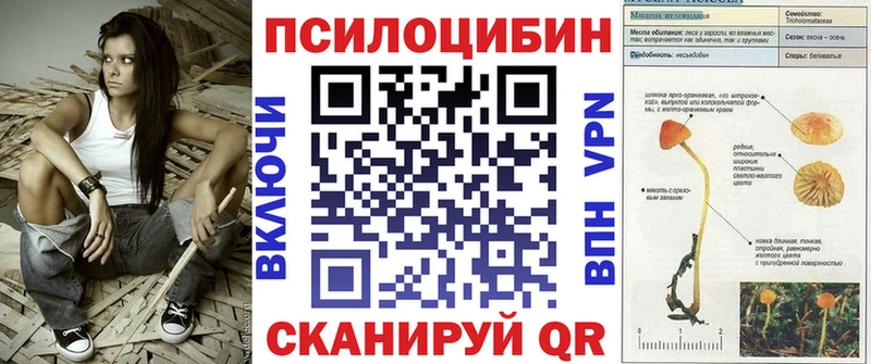 omg ссылки  Шахты  Псилоцибиновые грибы Cubensis 
